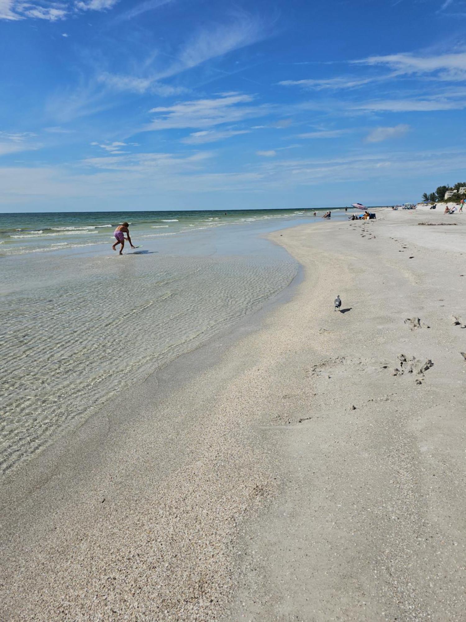 Beach Condo Clearwater Beach Exteriör bild
